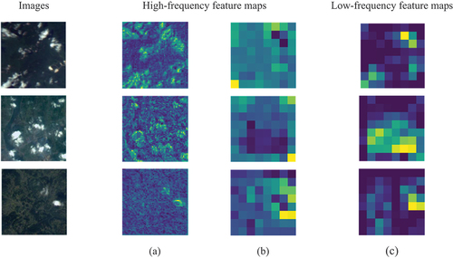 Figure 5. Comparison of low-frequency and high-frequency feature maps at the ‘cloud’ level. (a) represents the high-frequency features extracted from the first layer of the backbone; (b) represents the high-frequency features extracted from the last layer of the backbone; (c) represents the low-frequency features extracted from the last layer of the backbone.