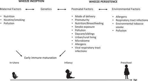Figure 2. Factors associated with wheeze inception and persistence