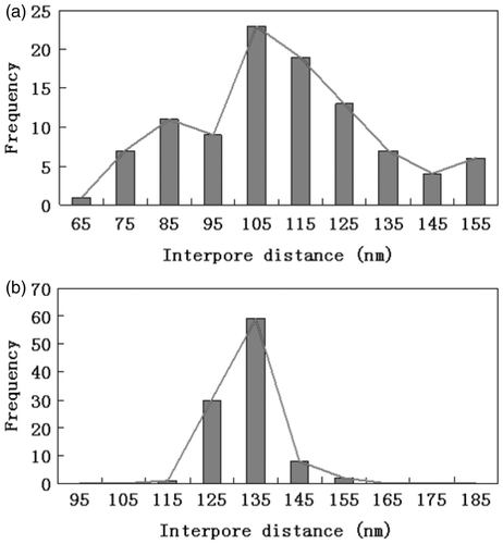 Figure 4. Interpore distance distribution diagram of samples (a) before and (b) after the treatment.