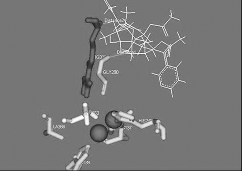 Figure 3 Molecular Docking simulations obtained at lowest energy conformation, highlighting potential hydrogen contacts of the compound, mainly with the binding site residues Gly 280, Arg 338 have been shown. The ligand 1 is shown in white.