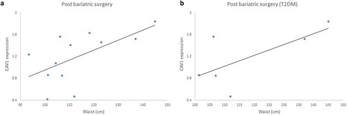 Figure 10. (a) Positive correlation between Caveolin-1 (CAV1) gene expression and waist measurements in patients submitted to bariatric surgery (6 months post-surgery) r = 0.600; p = 0.039. (b) Positive correlation between CAV1 gene expression and waist measurements in patients with T2DM history submitted to bariatric surgery (6 months post-surgery), r = 0.931; p = 0.021