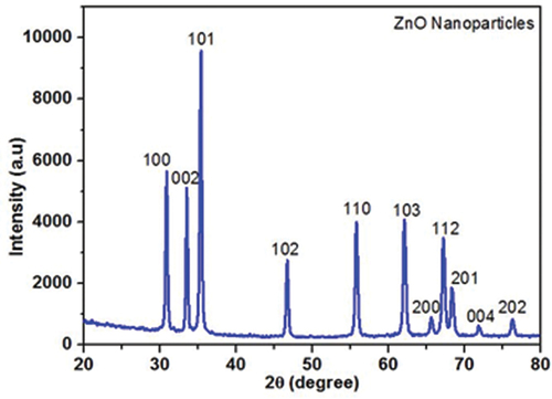 Figure 1. XRD analysis of ZnONPs synthesized from betel leaf extract.