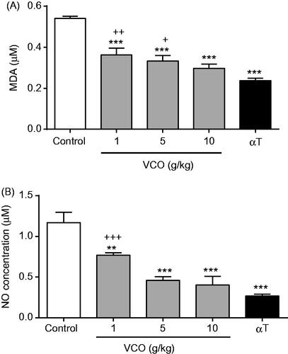 Figure 5. Effects of VCO on oxidative stress in rat brain. The oxidative stress in rat brain was determined: (A) MDA and (B) NO. Each bar represents mean ± SEM of n = 6. *p < 0.05, **p < 0.01, ***p < 0.001 when compared to control; + p < 0.05, ++p < 0.01, +++p < 0.001 when compared to αT.