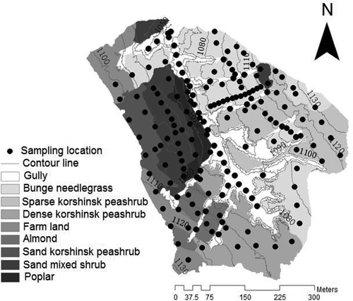 Fig. 1 Land-use distribution and sampling locations in the LYMQ watershed.