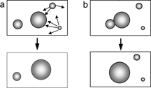 Figure 14 Particle size growth over time in fluorocarbon emulsions is due to molecular diffusion (a) rather than to droplet coalescence (b) The thin arrows represent individual molecules leaving the smaller droplets to join larger ones.