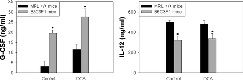 FIG. 2 Serum levels of G-CSF and IL-12 in MRL+/+ and B6C3F1 mice exposed to vehicle or DCA for 12 wk. The values represent mean ± SEM (n = 6); *p < 0.05 when compared between strains.