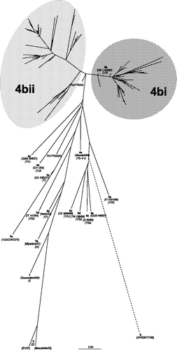 Figure 1. Unrooted maximum likelihood radial phylogram based on nucleotide sequence data from 225 APMV-1 isolates, including 208 PPMV-1 isolates and 17 representative of the other genetic lineages (Aldous et al., Citation2003). The region analysed was a 375 base pair fragment (47 to 422) at the 3′ end of the fusion protein gene. Branch lengths represent the predicted number of substitutions and are proportional to the differences between the isolates. The individual names of each PPMV-1 isolate included in this phylogram are not included. The groups selected for this study are shaded on the tree and labelled. The branch to isolate HFRDK77188 (group 6) is not drawn to scale; its actual branch length value is 1.66.