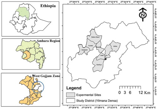 Figure 1. Location of the study.