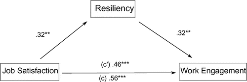Figure 3. Model 2: Resilience as a mediator in a relation between job satisfaction and work engagement.
