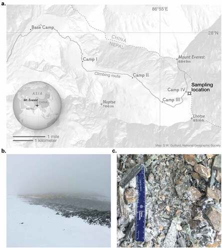 Figure 1. The South Col of Mount Everest (27.9728°N, 86.9315°E). (A) Map displaying the sampling location along the Everest climbing route. Samples were collected ~170 m southeast of Camp IV from an exposed surface environment at 7,944 m.a.s.l. (B) View from sampling location back toward Camp IV. (C) The surface at the collection site was made up of fragments of variable grain size, with the smallest fragments <0.5 mm in diameter and the largest fragments ~2-5 cm in diameter. Photo credit: L. Baker Perry/National Geographic.