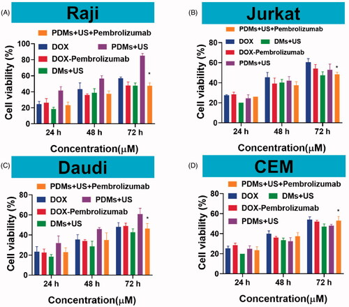 Figure 4. Raji, Daudi, Jurkat, and CEM cell growth inhibition. Cell proliferation inhibition was measured 24, 48, and 72 h after treatment with DOX, DOX + pembrolizumab, DMs + US, PDMs + US, and PDMs + US + embrolizumab via CCK8 assay. Data are represented as means ± SD (n = 3). *p < .05 compared with PDM + US.