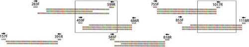 Fig. 1. Position of newly designed primers and generated overlapping amplicons for WRT329 (top), WRT345 (middle) and WRT349 (bottom) used to reconstruct up to 931 bp of tufA for C. floridana (Red: Thymine, Blue: Cytosine, Green: Adenine, Purple: Guanine). Note that amplicon tu157F-tu391R could not be amplified for WRT349 and is thus missing. Primer names are based on their position on the Ostreococcus tauri Courtes & Crétiennot complete tufA sequence (CR954199). Open boxes correspond to the multiple sequence alignments detailed in Figs 13–14.