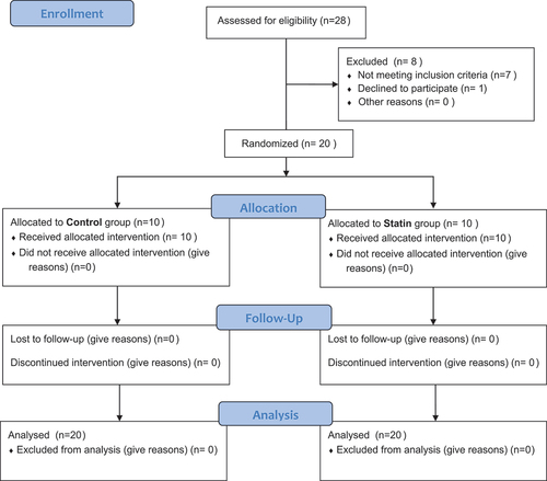 Figure 1. Consort 2010 Flow Diagram