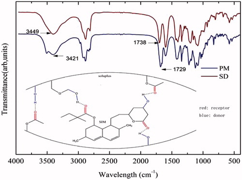 Figure 4. FTIR spectra of 80% SIM/Soluplus SD and the corresponding PM; possible forms of hydrogen bonds between Soluplus and SIM.