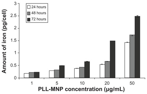 Figure 9 Internal iron content per cell at different times evaluated by Ferrazine method.Abbreviation: PLL-MNP, poly-l-lysine-magnetic nanoparticle.