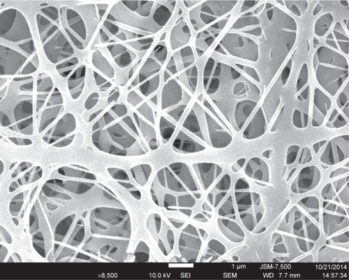 Figure 3 SEM photograph of electrospun drug-eluting nanofibers.Abbreviation: SEM, scanning electron microscope.