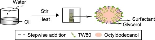 Figure 2 Proposed mechanism for phase-inversion composition for production of ceramide IIIB nanoemulsion: mass ratio of TW80 to glycerol is 1:1.