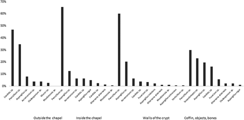 Figure 2. The incidence of fungal colonies isolated from different surfaces of the chapel and crypt.
