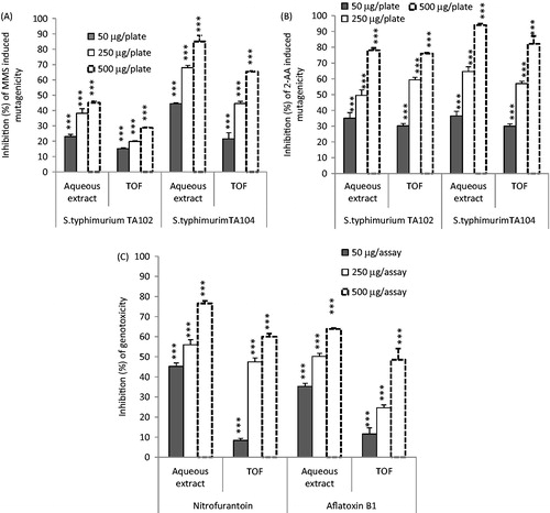Figure 1. Antimutagenicity and antigenotoxicity of E. japonica extracts. (A) Effect of E. japonica extracts on methyl methanesulfonate (MMS) induced mutagenicity in the S. typhimurium TA104 and TA102 assay system. (B) Effect of E. japonica extracts on 2-aminoanthracene (2-AA) induced mutagenicity in the S. typhimurium TA104 and TA102 assay system. (C) Effect of extracts on nitrofurantoin and aflatoxin B1 induced genotoxicity in the presence of E. coli PQ37. ***p < 0.001. TOF, total oligomers flavonoid extract.