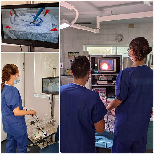 Figure 1 Residents participating in the FJDUH laparoscopic training program.Top right: E-BLUS “circle cut” exercise. Bottom right: practice on the E-BLUS “peg transfer” exercise on a pelvic trainer. Left: surgical simulation day on a porcine model in the FJDUH experimental operating room. Residents have given authorization to publish the pictures.