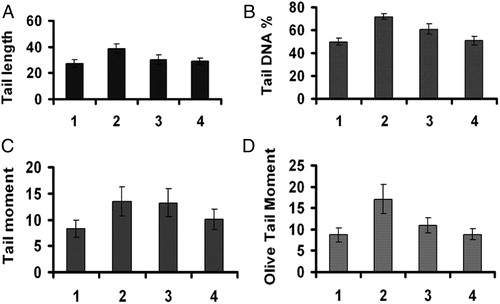 Figure 1. Effect of PPC-Pr on gamma radiation-induced DNA damage on human blood leukocytes, estimated by comet aasay in terms of tail length (A), % DNA in tail (B), tail moment (C), olive tail moment (D). Column 1:0 Gy; 2: 4 Gy; 3; PPC-Pr 50 µg + 4 Gy; 4: PPC-Pr 100 µg + 4 Gy.