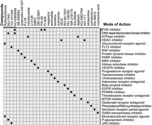 Figure 9. Prediction of potential drugs for risk subgroups