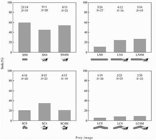 Figure 3. The frequency of stalk in the experiments with horizontally-moving prey. The number of spiders performing stalk, the number of spiders that did not perform stalk and total number of spiders are given above each bar.