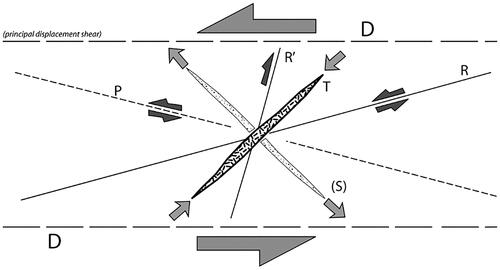 Figure 3. Geometry of main subsidiary structures within a wrench zone. The Tchalenko instantaneous brittle shear fractures in an otherwise homogenous rock unit. D, principal displacement shear parallel to boundaries of zone; R and R′, Riedel shears (dilational); T, tension gashes or normal faults (dilational); S, fold axes (re-drawn from Harris, Citation1987; Mueller & Harris, Citation1987). Note that once a rock is weakened by these fractures, preferentially oriented surfaces especially the R-surfaces will host the subsequent uptake of progressive deformation.