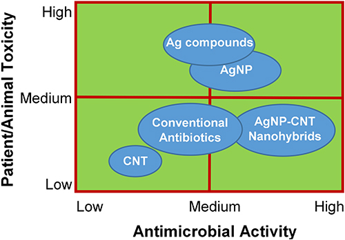 Figure 6 Ideal antimicrobial and toxicity properties of AgNP-CNT nanohybrids.