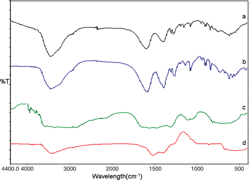 Figure 2. FT-IR spectra of (a) Sodium citrate (b) Gold/citrate and (c) PEI and (d) Gold/PEI.