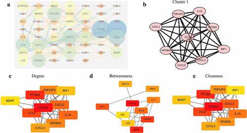 Figure 4. Construct the PPI network and analyze the properties of nodes. (a) The whole PPI network containing 54 nodes and 121 edges. (b) The significant module with score 8.75. (c) The top 10 genes according to the parameter degree. (d) The top 10 genes according to the parameter betweenness. (e) The top 10 genes according to the parameter closeness.