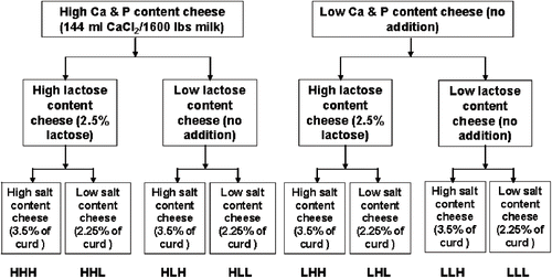 Figure 1 Experimental design of Cheddar cheese preparation for process cheese manufacturing.