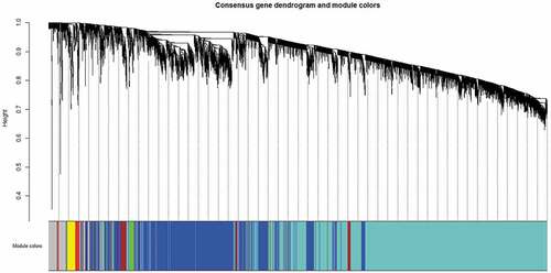 Figure 1. Consensus gene dendrogram with seven modules constructed using expression profiles of 7186 genes from male and female microarray datasets in the network.