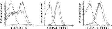 Figure 2 Effect of TCDD on the expression of CD40, CD54, and LFA-1 on TNFα-treated bmDCs. Day 5 bmDC cultures were exposed to TCDD (10− 9 M and 10− 8 M) or vehicle control (0.01% DMSO) and on day 6 treated with 10 ng/mL TNFα. After seven days total in culture, bmDC were harvested and analyzed by flow cytometry. Representative histograms depict CD40, CD54, and LFA-1 expression on CD11c+ cells. Vehicle (solid grey line), 10− 8 M TCDD (solid black line), isotype control (dotted line). Results are representative of three independent experiments.