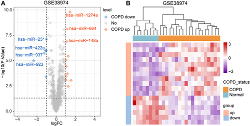 Figure 2 The differential microRNAs (DEmi) in COPD samples and normal samples. (A) The volcano plots of DEmi obtained from the data set GSE38974 with P <0.05 and |log2 (FC)|> 1. The small diamond presents the microRNAs. (B) The heat map of DEmis of COPD samples and normal samples in the data set GSE38974.