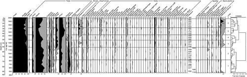 Figure 1. Pollen percentage diagram from Lake Öagöl. Black graphs show percentages and grey graphs show exaggeration (× 10). Constrained cluster analysis (CONISS) in Tilia (v.2.0.41) was used to identify local pollen assemblage zones (LPAZs). The pollen sum includes all terrestrial pollen taxa.