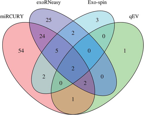 Figure 4. Differential expression of miRNAs in EVs isolated by commercial methods. Precipitation and membrane affinity yielded high numbers of differentially regulated miRNAs (miRCURY: 90; exoRNeasy: 60). Far fewer regulated miRNAs were detected in SEC-derived samples (Exo-spin: 14; qEV: 6). Two differentially regulated miRNAs were detected in EVs isolated by all methods. Data are filtered for baseMean ≥50, log2 fold change ≥|1| and adjusted p-value ≤0.05.