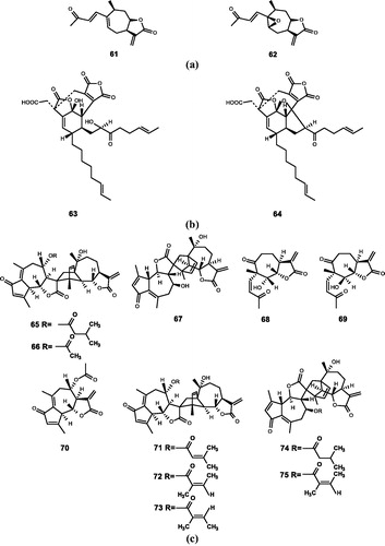 Figure 5. Chemical structures of lactones extracts from (a) Xanthium strumarium L. (61–62); (b) unidentified fungus (63–64); (c) Artemisia (65–75).