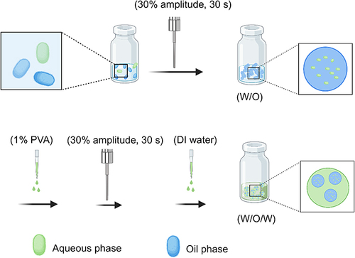 Scheme 2 Preparation of Protein-loaded DE-NPs via DE method.