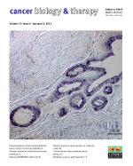 Cover image for Cancer Biology & Therapy, Volume 13, Issue 2, 2012