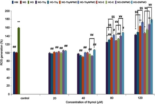 Figure 10 Effect of Thy, ThyNPMO, E, and E-NPMO on ROS generation in NG and HG states. Bar graphs showing ROS level (%) in olfactory ensheathing cells (OECs) exposed to normal glucose (NG), high glucose (HG), high mannitol (HM), NG plus Thymol (NG-Thy), HG plus Thymol (HG-Thy), NG plus Thymol polymeric nanoparticles modified by oleic acid (NG-ThyNPMO), HG plus Thymol polymeric nanoparticles modified by oleic acid (HG-ThyNPMO), NG plus extract (NG-E), HG plus extract (HG-E), NG plus extract polymeric nanoparticles modified by oleic acid (NG-ENPMO), HG plus extract polymeric nanoparticles modified by oleic acid (HG-ENPMO). Data are expressed as mean±SEM. *p<0.01 vs NG and HM, **p<0.001 vs NG and HM, # # p<0.001 vs HG. $$ p<0.001 thymol vs ThyNPMO, ¥¥ p<0.001 E vs ENPMO.