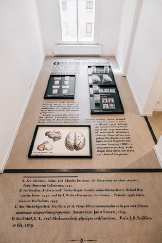 Paper Brains exhibition, Fragment. Book and Manuscript Studies, University of Amsterdam (UvA). Photography: Stefanie Archer. 130 x 195 mm