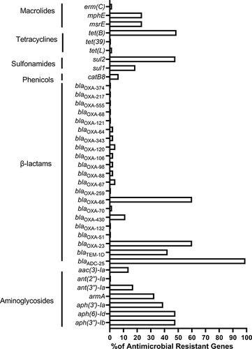 Figure 2 The presence of antimicrobial resistance genes (ARGs) of 123 Acinetobacter baumannii clinical isolates.