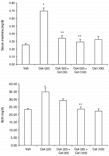 Figure 1. Effect of catechin on serum creatinine (upper panel) and blood urea nitrogen (lower panel) in CsA treated rats. Values are in mean ± S.E.M. Veh: Vehicle, CsA: Cyclosporine-A, Cat (50): Catechin (50 mg/kg/day), Cat (100): Catechin (100 mg/kg/day). *P<0.05, as compared to vehicle, **P<0.05, as compared to CsA alone treated rats.