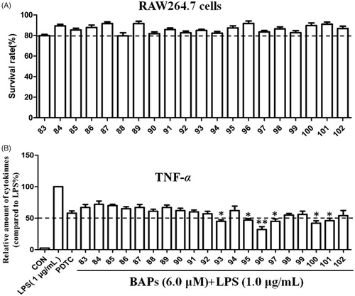 Figure 2. (A) The cytotoxicity of all BAPs against RAW264.7 cells by MTT assay in vitro. (B) The levels of TNF-α induced by LPS stimulation in RAW 264.7 cells through ELISA analysis. PDTC was used as a positive control. The results were presented as the percent of LPS control. Each bar represents the mean ± SD of three independent experiments. Statistical significance relative to the LPS group is indicated: ∗p < 0.05; ∗∗p < 0.01.