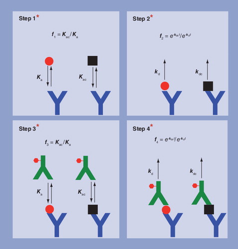 Figure 6. The four stages in a sandwich immunoassay seen as proofreading steps in which the error fraction (ratio of the intended target molecule [red circles] to cross-reacting substance [black squares]) is successively attenuated.The inset equations show how the error fraction at each step would be calculated if there was only one cross-reacting substance.Each red asterisk corresponds to one proof reading step.