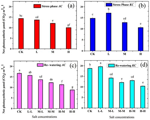 Figure 3. Effect of salt stress and RWP of net Photosynthesis (PN) on A. corniculatum (a, c) and K. candel (b, d), the small letter indicates significant difference at (p < 0.05) using Duncan’s multiple range tests.