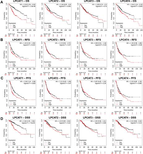 Figure 4 Prognostic significance of LPCATs in HCC patients. Associations between LPCATs expression with (A) OS, (B) RFS, (C) PFS, and (D) DSS of HCC patients (KM plotter).