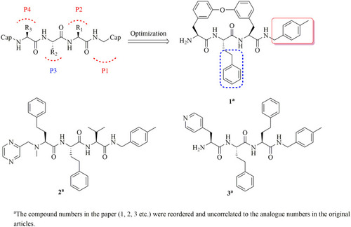 Figure 3 Anti-malaria N, C-capped non-covalent peptidyl derivatives.
