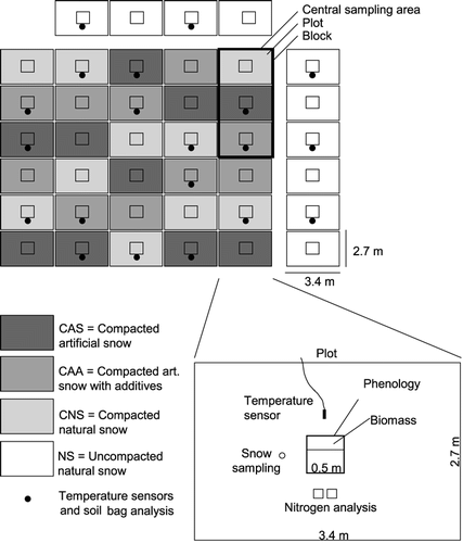 Figure 1 Design of the experimental field and measurements within a plot.